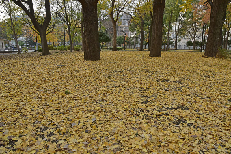 b0042837_20543652.jpg
