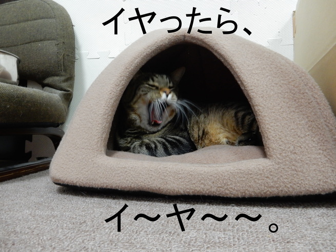 f0247039_187931.jpg