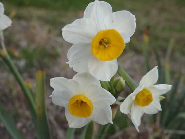 a0054240_22325756.jpg