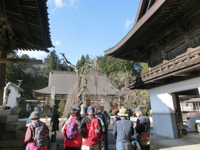 f0019247_14245234.jpg