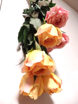 d0218056_22483398.jpg