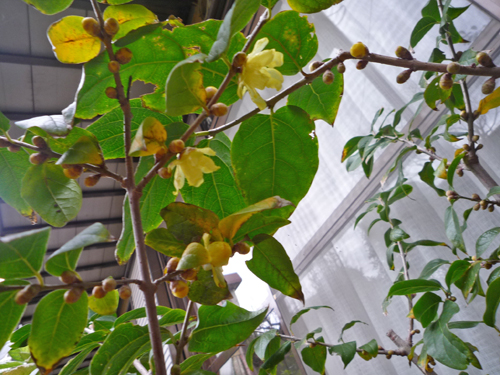 b0045357_9364692.jpg
