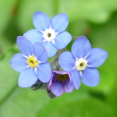 d0081485_13493610.jpg