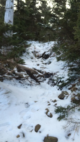 c0341290_00253567.jpg