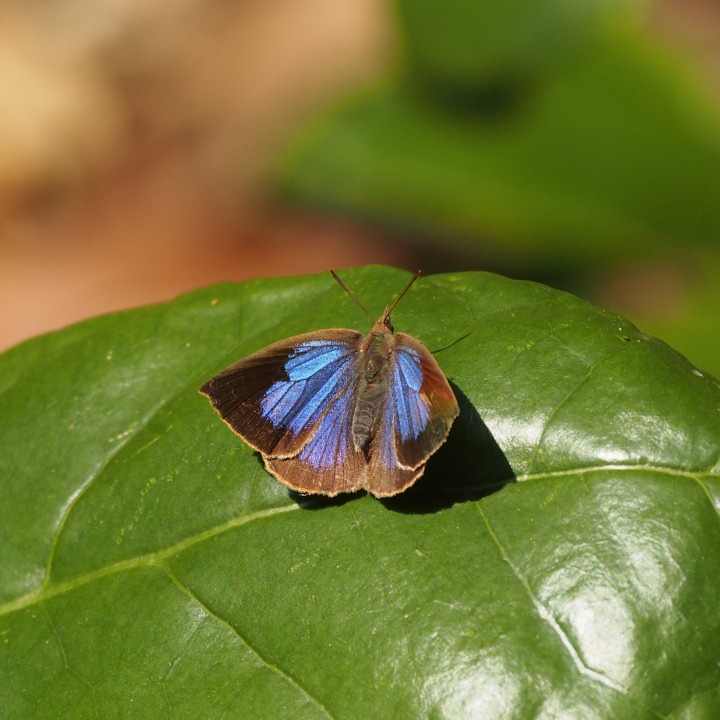 b0194593_715018.jpg