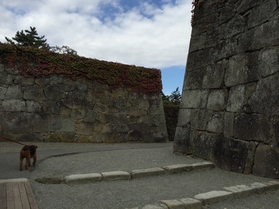 a0218499_17143910.jpg