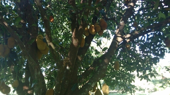 f0225800_03440147.jpg