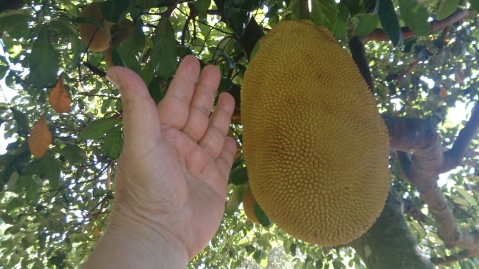 f0225800_03442030.jpg