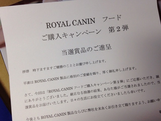 b0289206_10214736.jpg