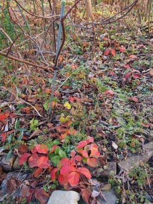 c0117007_1720548.jpg