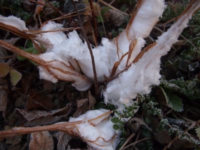 c0117007_17211196.jpg