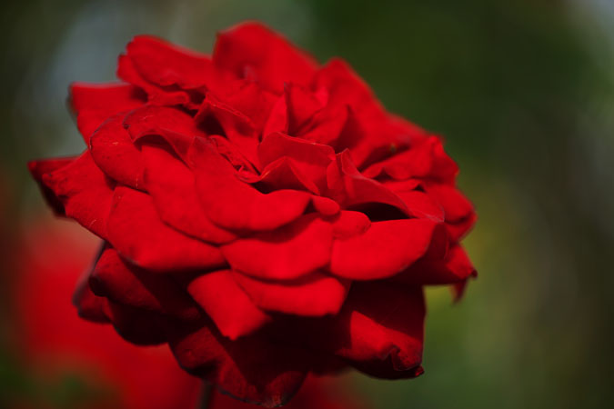 a0263109_19525915.jpg