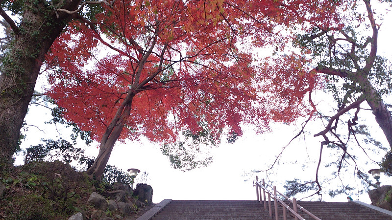 e0305733_5531558.jpg