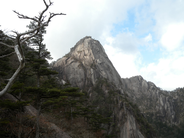 e0272335_1117365.jpg