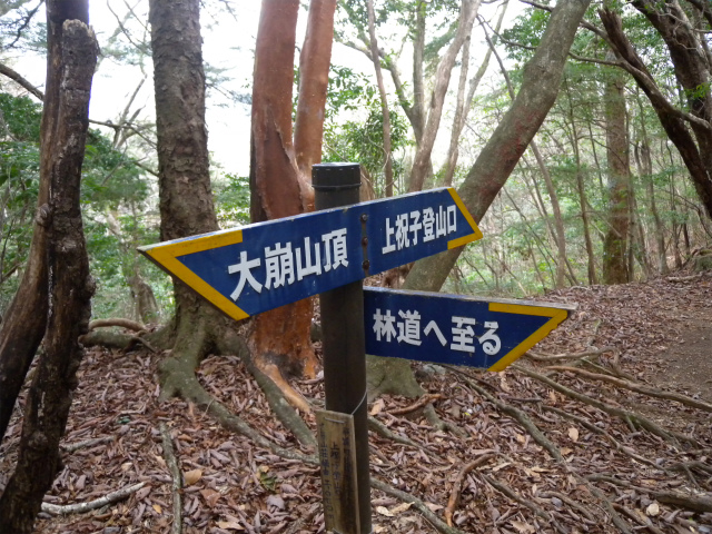 e0272335_11184729.jpg