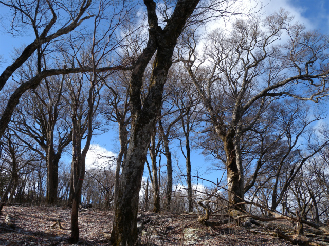 e0272335_518962.jpg