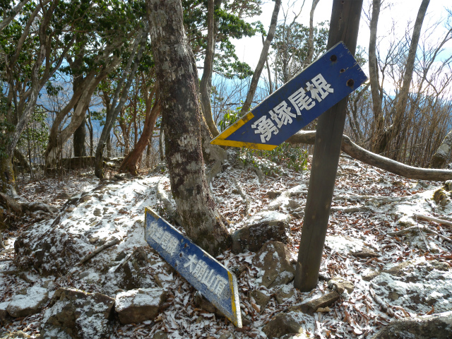 e0272335_520447.jpg