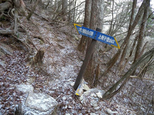 e0272335_573981.jpg