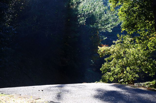 a0242438_19413420.jpg