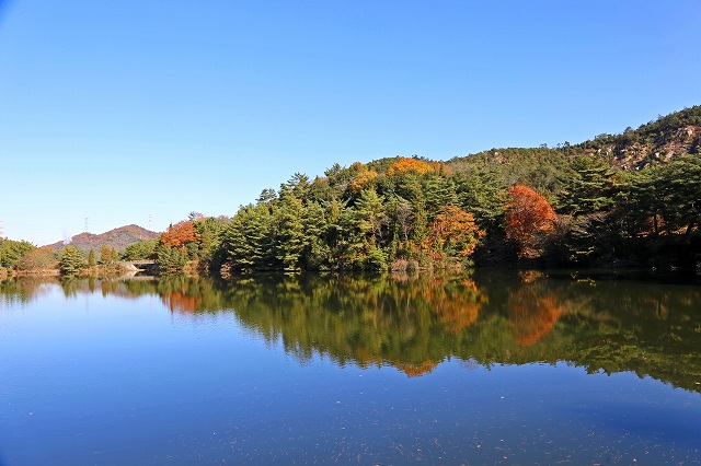 a0242438_19473698.jpg