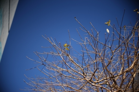 d0349141_22395637.jpg