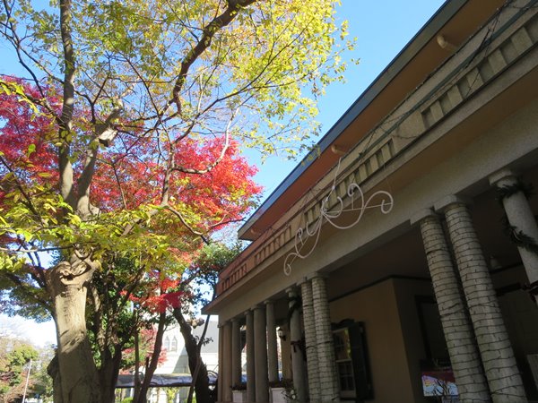 b0009849_16561485.jpg