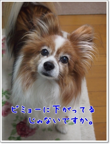 d0013149_00003868.jpg