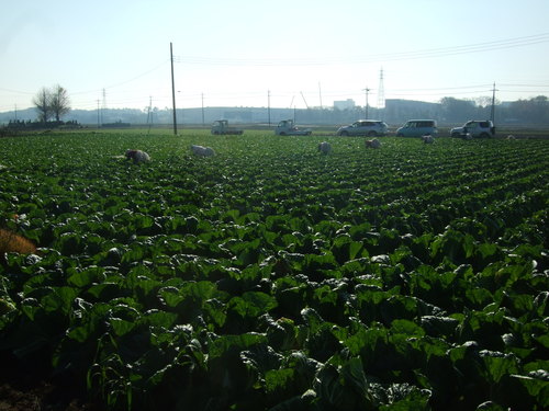 c0111557_172137.jpg