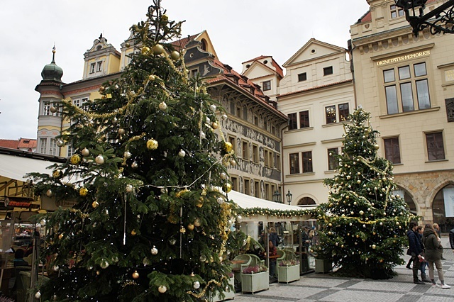 e0177271_18513892.jpg