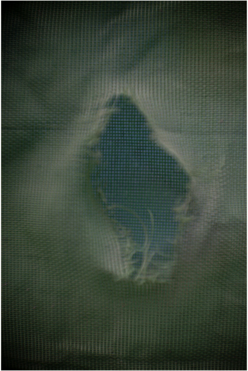 c0168172_21584027.jpg
