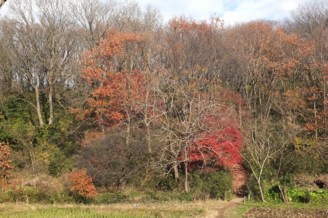 e0339873_2057674.jpg