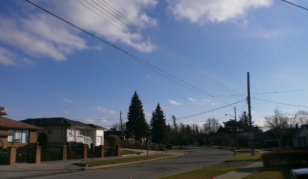 d0000995_13323293.jpg