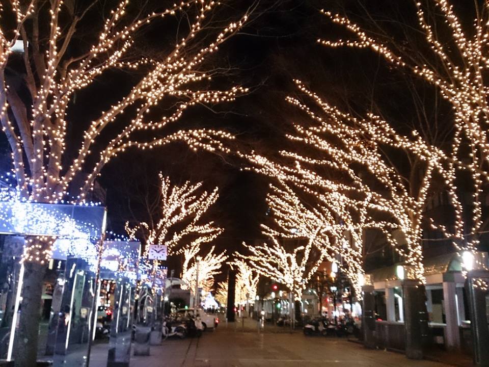 b0028299_23552132.jpg