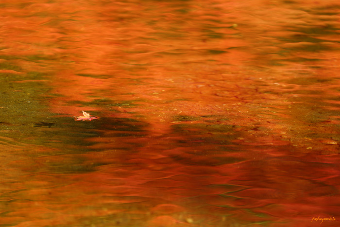 f0185802_2335867.jpg