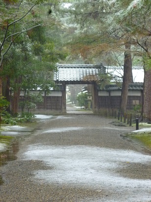 e0135219_1351944.jpg