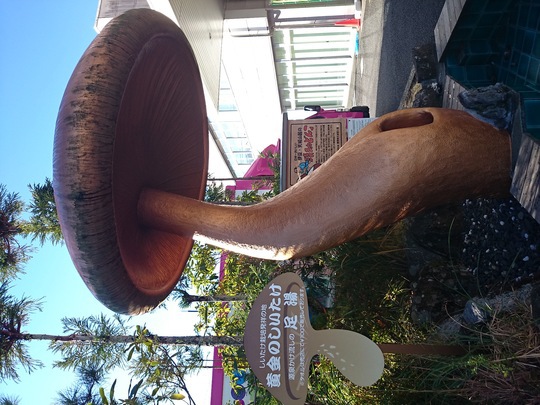 b0154725_17344120.jpg
