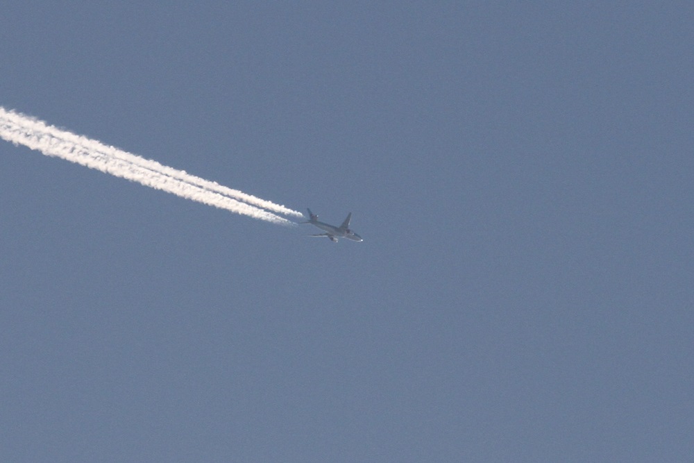 c0111229_1814522.jpg