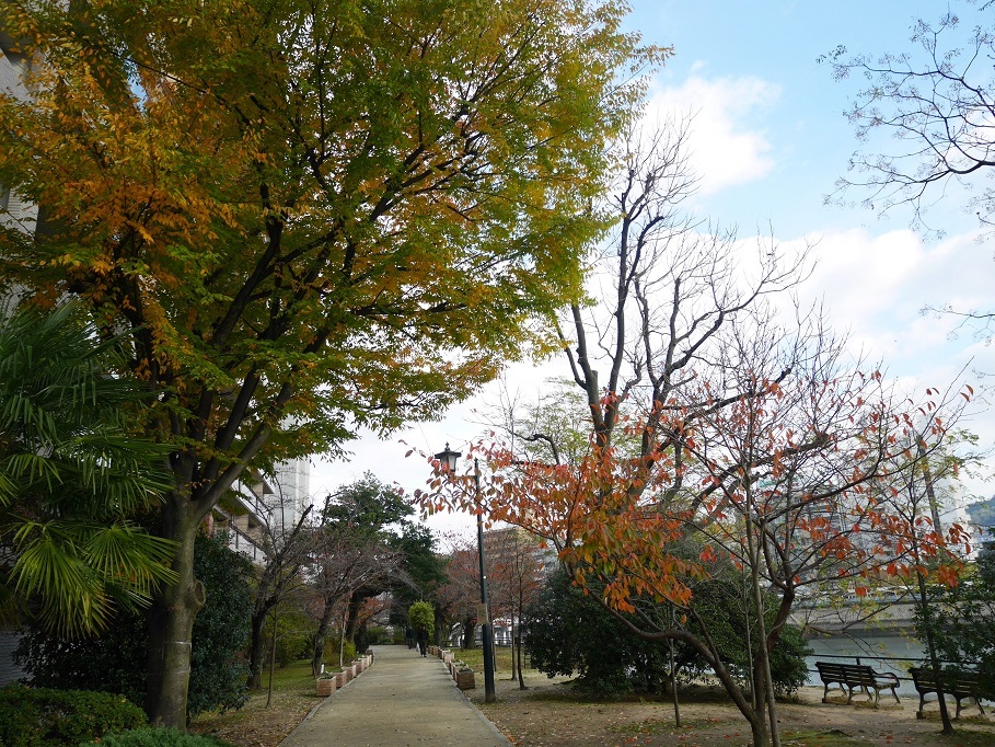 f0231829_01052701.jpg