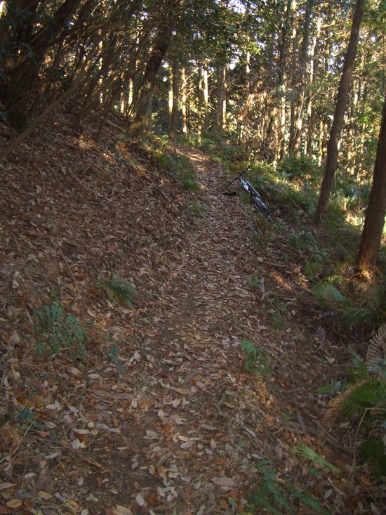 b0222530_15542857.jpg