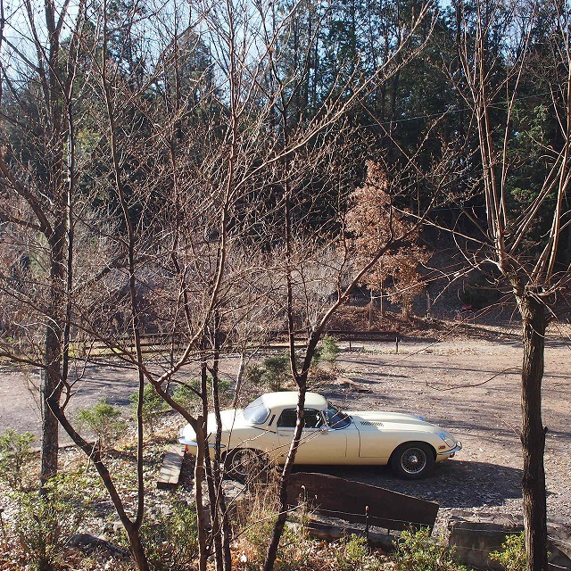 a0148431_18503354.jpg