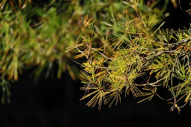 a0242438_19203543.jpg