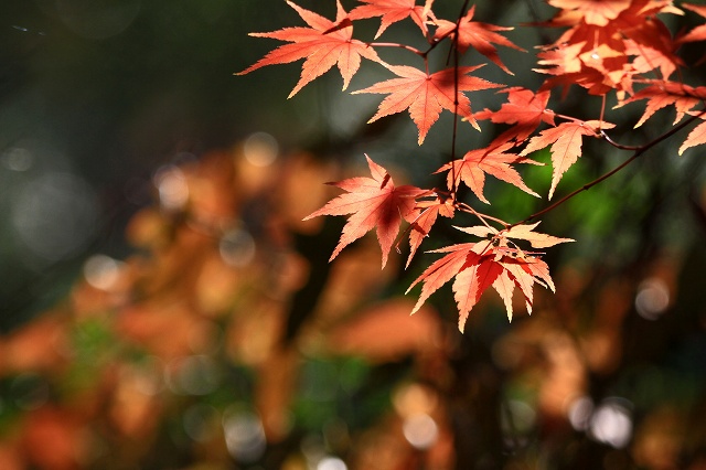 a0242438_19212481.jpg