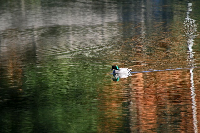 a0242438_1922031.jpg