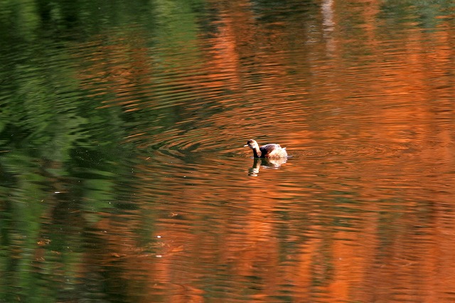 a0242438_1922716.jpg