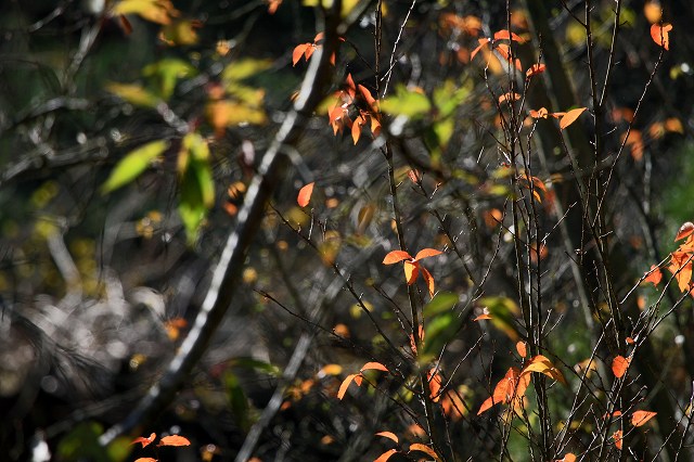 a0242438_1924057.jpg