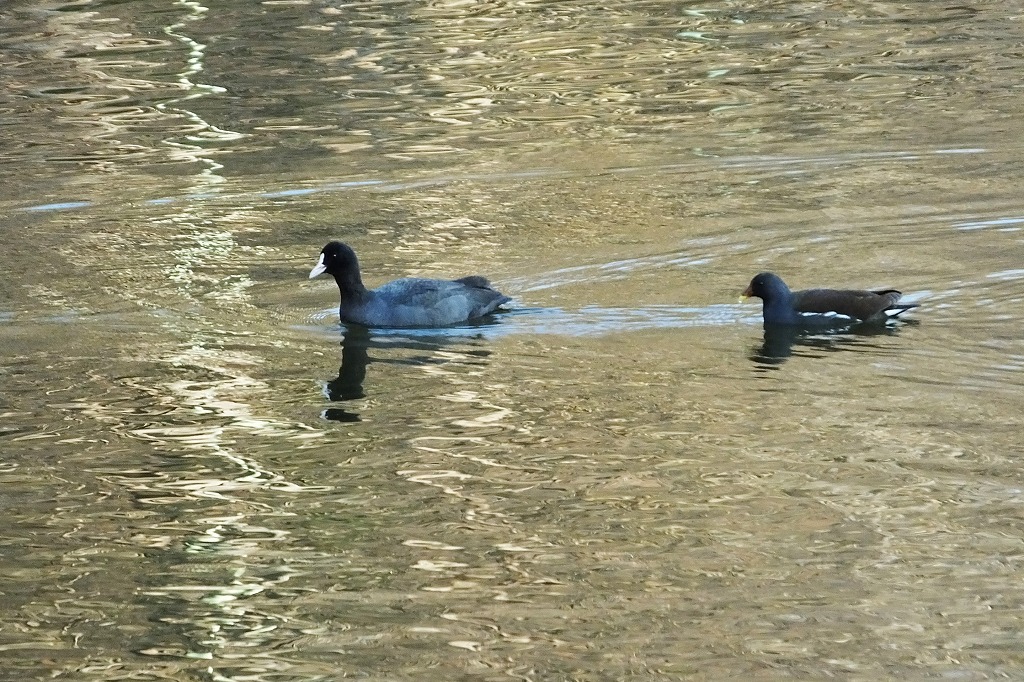 b0236251_13563859.jpg