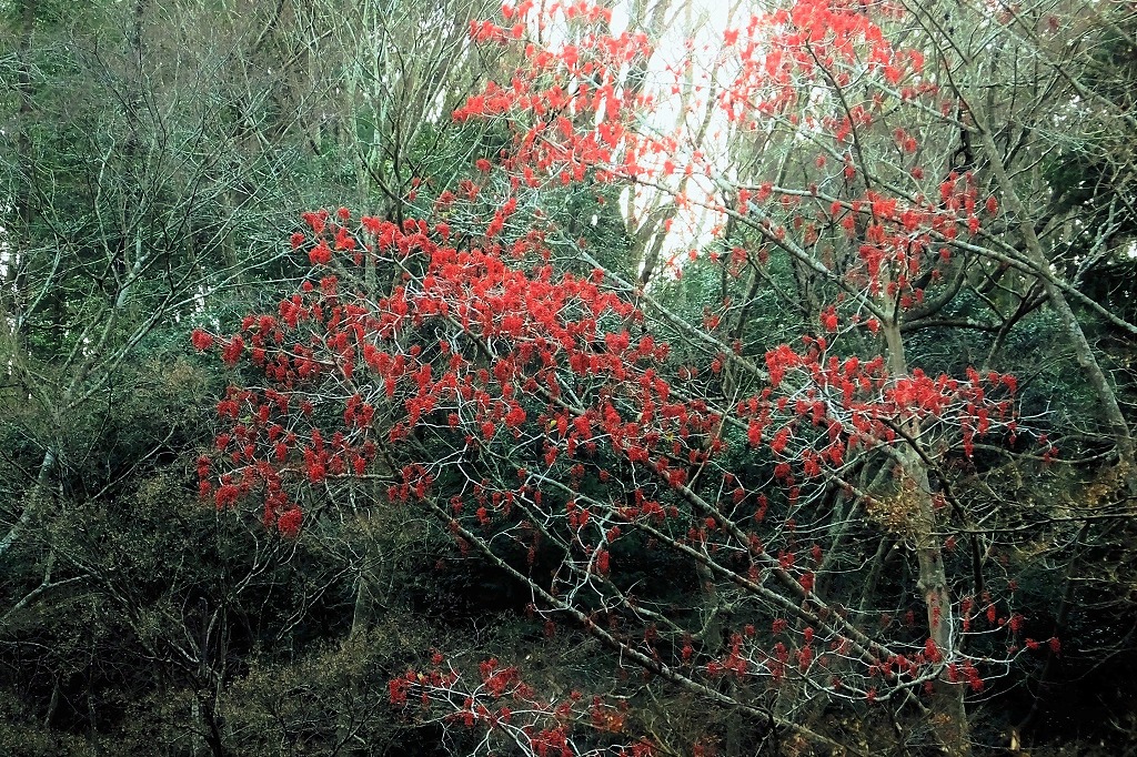 b0236251_13595469.jpg