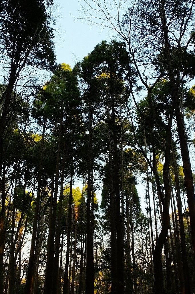 b0236251_1411552.jpg