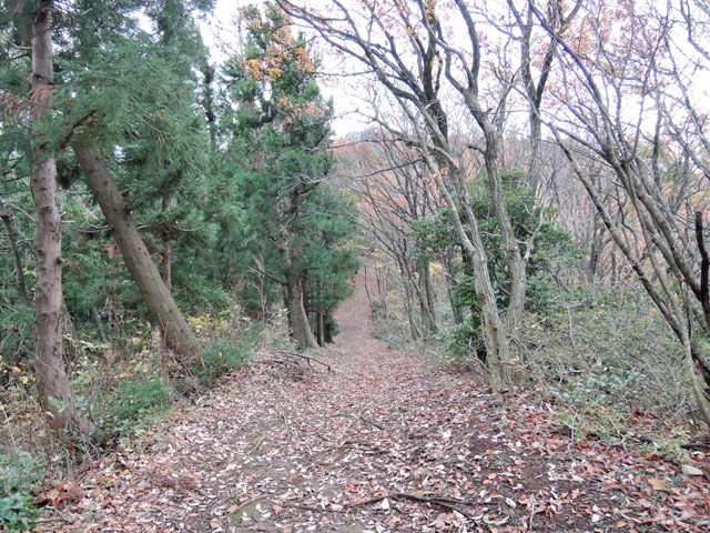 c0116856_151412100.jpg