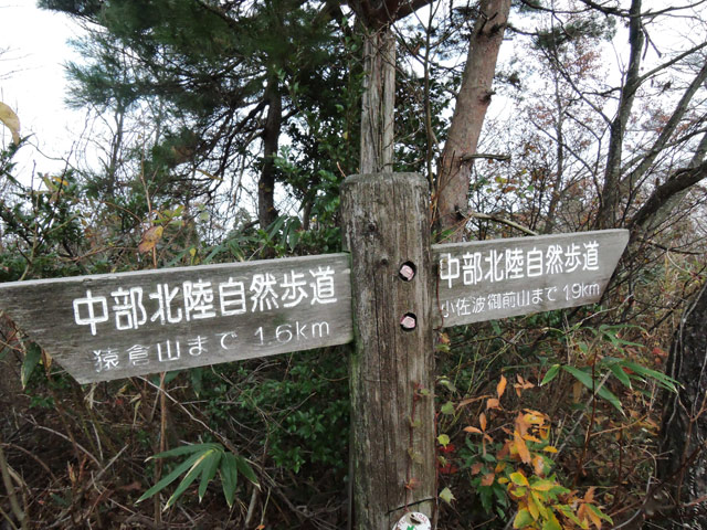 c0116856_15143676.jpg